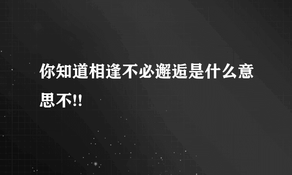 你知道相逢不必邂逅是什么意思不!!