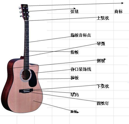 我想学吉他，可是不知道从哪入手