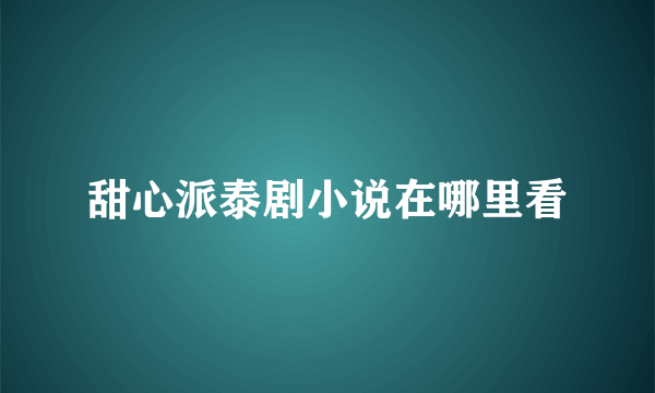 甜心派泰剧小说在哪里看