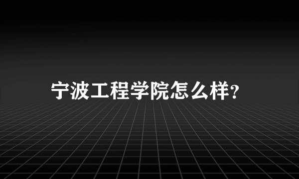 宁波工程学院怎么样？