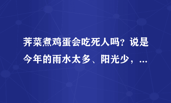 荠菜煮鸡蛋会吃死人吗？说是今年的雨水太多、阳光少，吃了容易中毒！1