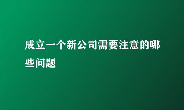 成立一个新公司需要注意的哪些问题