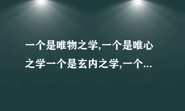 一个是唯物之学,一个是唯心之学一个是玄内之学,一个是玄外之学。是什么意思？