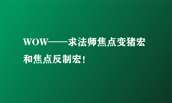 WOW——求法师焦点变猪宏和焦点反制宏！