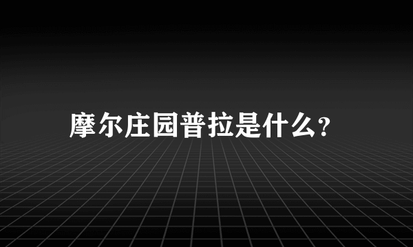 摩尔庄园普拉是什么？