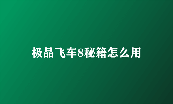 极品飞车8秘籍怎么用