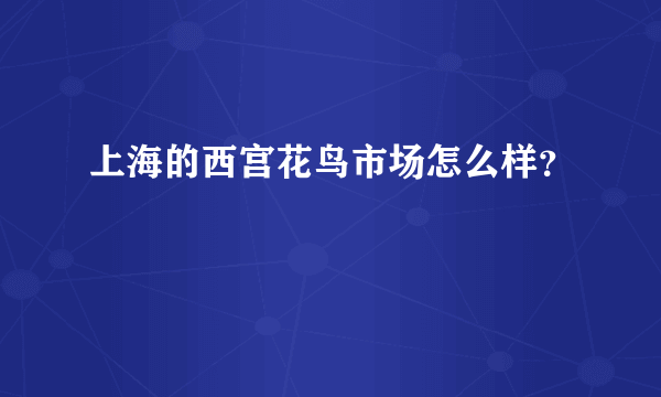 上海的西宫花鸟市场怎么样？