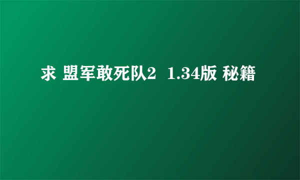 求 盟军敢死队2  1.34版 秘籍