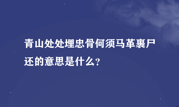 青山处处埋忠骨何须马革裹尸还的意思是什么？