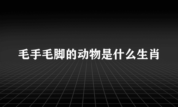 毛手毛脚的动物是什么生肖