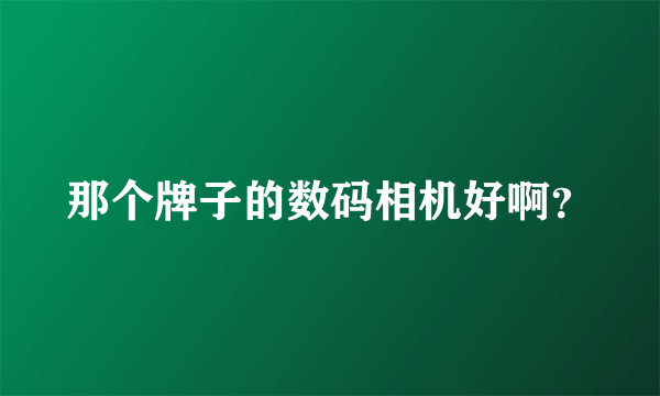 那个牌子的数码相机好啊？