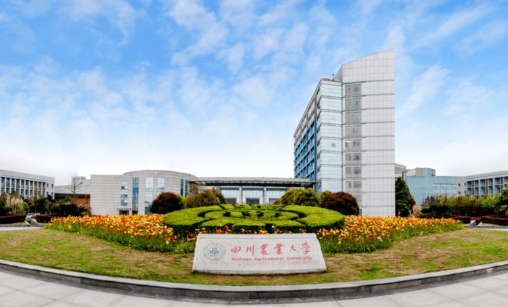 四川农业大学怎么样