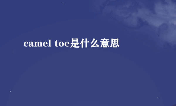 camel toe是什么意思