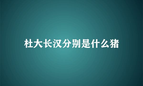 杜大长汉分别是什么猪