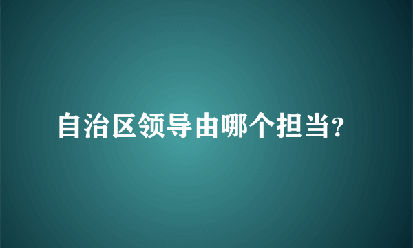 自治区领导由哪个担当？