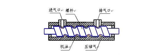 螺杆空压机原理及结构图