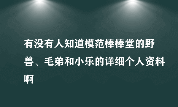 有没有人知道模范棒棒堂的野兽、毛弟和小乐的详细个人资料啊