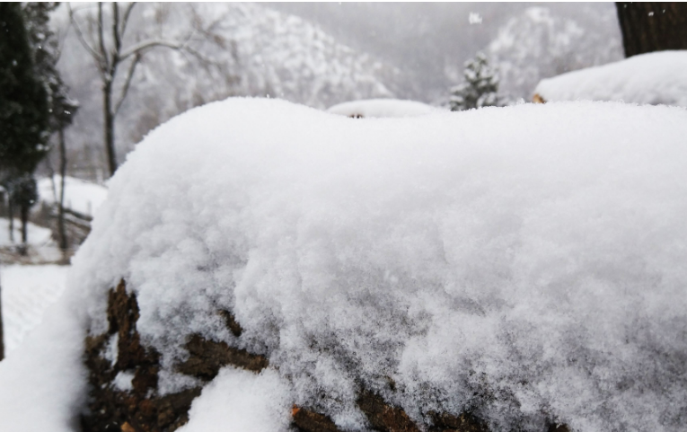 白雪却嫌春色晚， 故穿庭树作飞花。 （韩愈《春雪》） 什么意思?