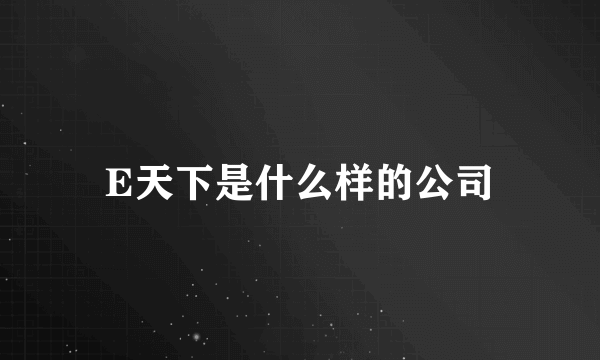 E天下是什么样的公司