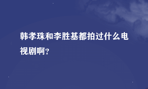 韩孝珠和李胜基都拍过什么电视剧啊？