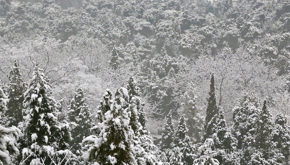 甘肃天水四月飞雪是怎么回事？