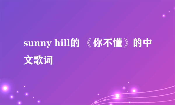 sunny hill的 《你不懂》的中文歌词