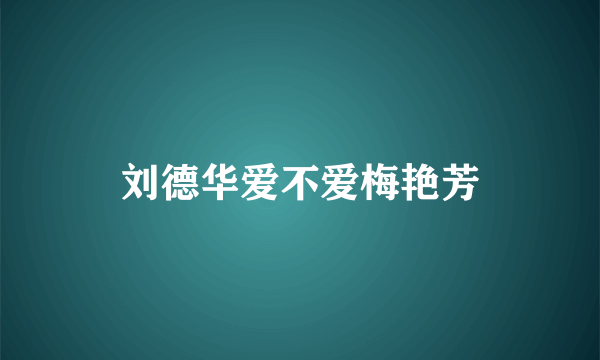 刘德华爱不爱梅艳芳