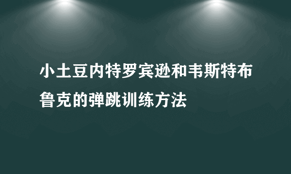 小土豆内特罗宾逊和韦斯特布鲁克的弹跳训练方法