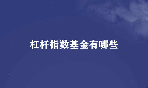 杠杆指数基金有哪些