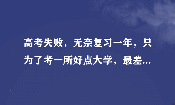 高考失败，无奈复习一年，只为了考一所好点大学，最差也得是个好二本吧，一心只读圣贤书，恋爱没谈过，...