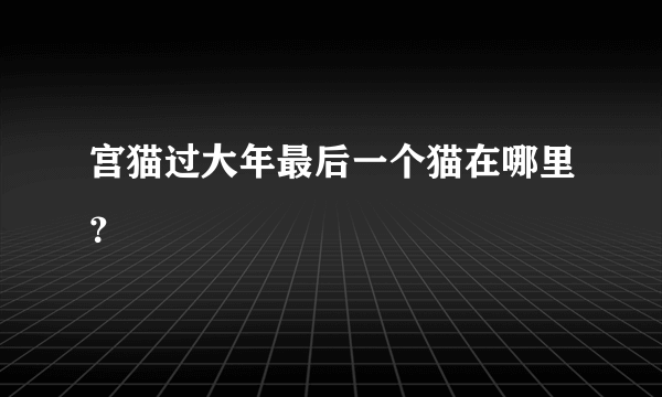 宫猫过大年最后一个猫在哪里？