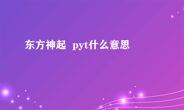 东方神起  pyt什么意思