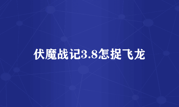 伏魔战记3.8怎捉飞龙