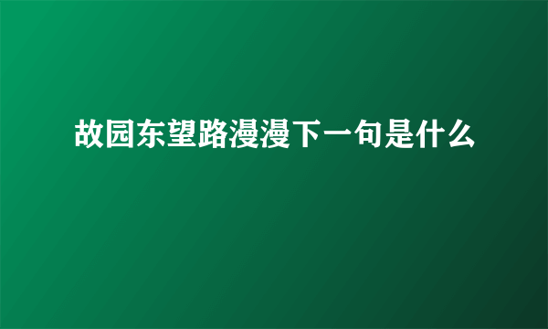 故园东望路漫漫下一句是什么