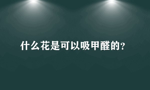 什么花是可以吸甲醛的？