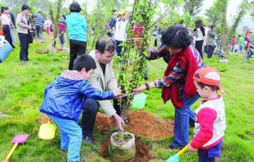 清明节传统文化知识有什么？