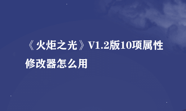 《火炬之光》V1.2版10项属性修改器怎么用