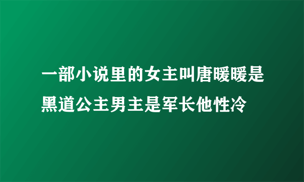 一部小说里的女主叫唐暖暖是黑道公主男主是军长他性冷