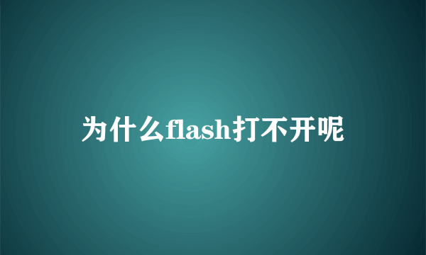 为什么flash打不开呢