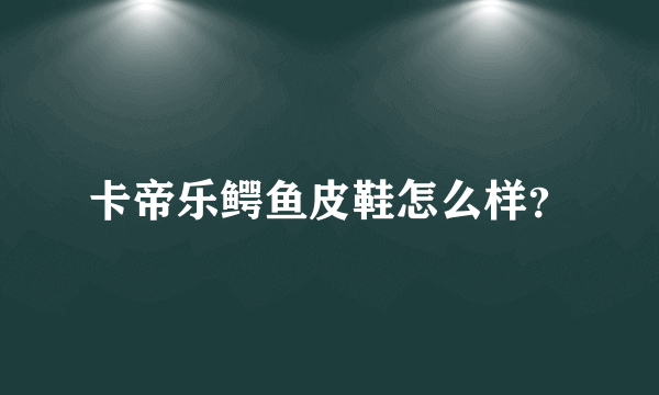 卡帝乐鳄鱼皮鞋怎么样？