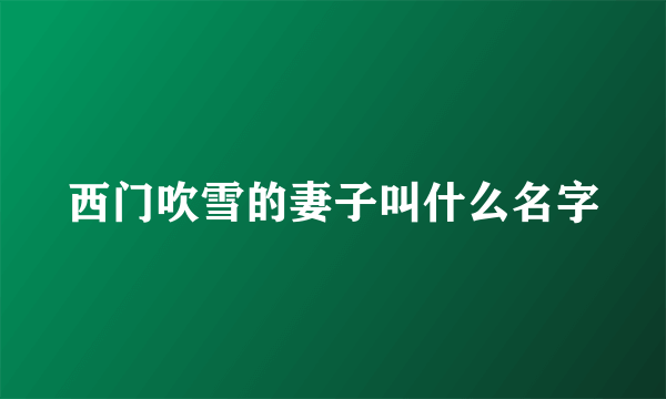 西门吹雪的妻子叫什么名字