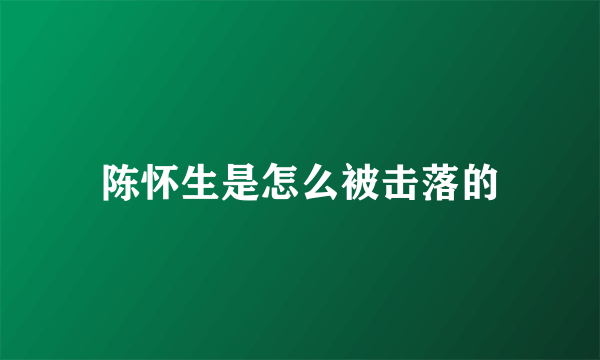 陈怀生是怎么被击落的