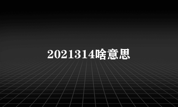 2021314啥意思