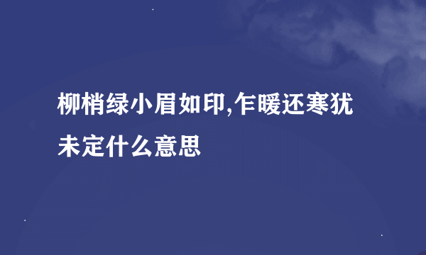 柳梢绿小眉如印,乍暖还寒犹未定什么意思