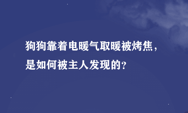 狗狗靠着电暖气取暖被烤焦，是如何被主人发现的？