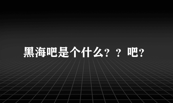 黑海吧是个什么？？吧？