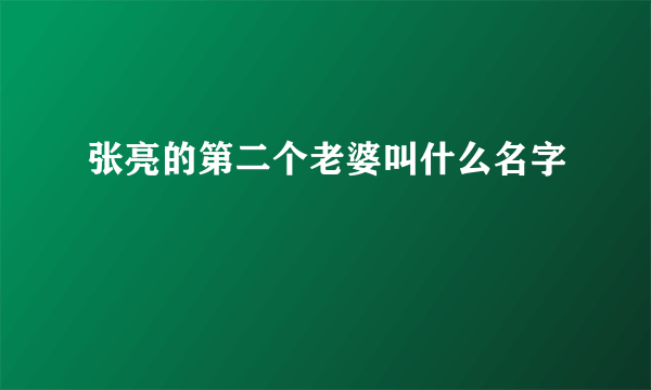 张亮的第二个老婆叫什么名字