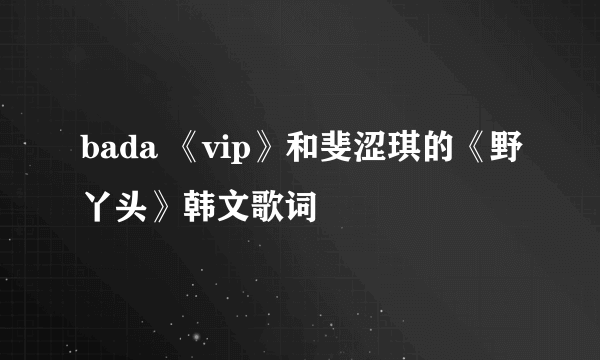 bada 《vip》和斐涩琪的《野丫头》韩文歌词