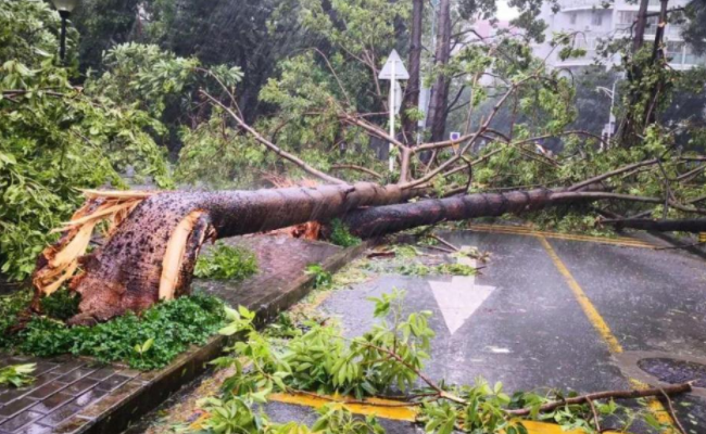 14级强台风将至暴雨或直扑安徽，台风的威力有多大？