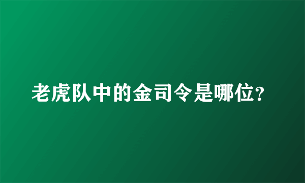 老虎队中的金司令是哪位？